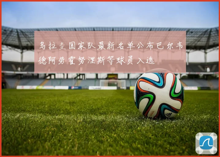 乌拉圭国家队最新名单公布巴尔韦德阿劳霍努涅斯等球员入选
