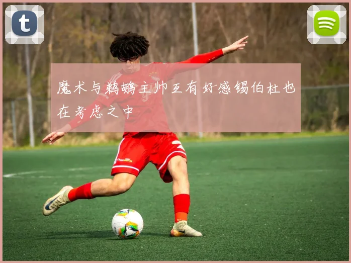 魔术与鹈鹕主帅互有好感锡伯杜也在考虑之中