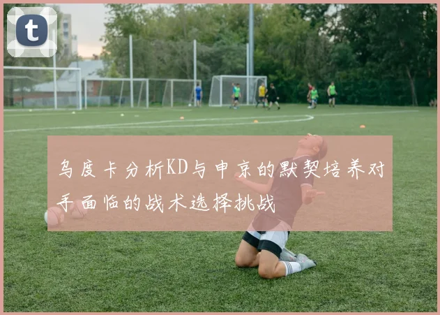 乌度卡分析KD与申京的默契培养对手面临的战术选择挑战